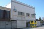 Portion of  plant  for sale in Borgo San Dalmazzo (CN) 2