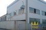 Portion of  plant  for sale in Borgo San Dalmazzo (CN) 3