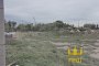 Lands in Isola di Pellestrina (VE) - LOT 1 4