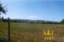 Terreny agrícola a Chiaravalle (AN) - LOT U 5