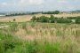 Terrenos agrícolas em Osimo (AN) - LOTE 19 2