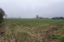 Terrain agricole à San Pietro di Morubio (VR) - LOT 1 2