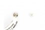 18 Carat White Gold Earrings - Diamonds 0.39 ct 4