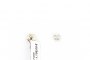 18 Carat White Gold Earrings - Diamonds 0.24 ct 2