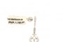 18 Carat White Gold Earrings - Diamonds 0.54 ct 1
