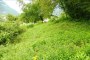 Kmetijska zemljišča v Grignu (TN) - LOT 3 4