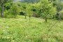 Kmetijska zemljišča v Grignu (TN) - LOT 3 5