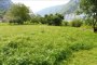 Terenuri agricole la Grigno (TN) - LOT 5 3