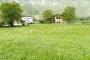 Agricultural land in Grigno (TN) - LOT 7 3