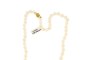 Rio Pearls Necklace - Gold 1