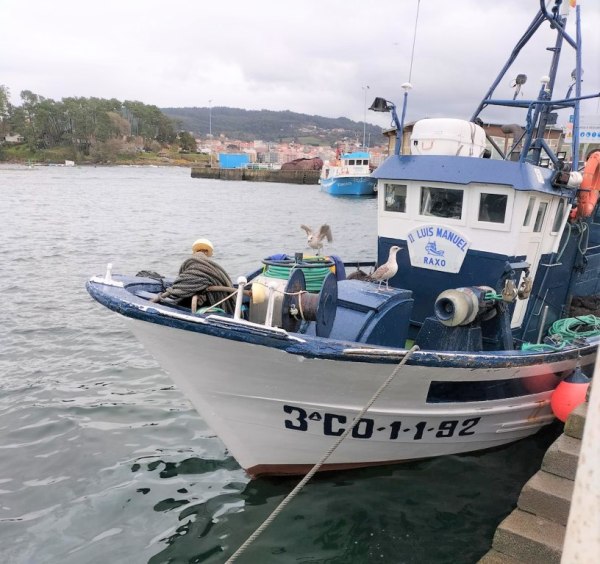 Embarcació Buque Segundo Luis Manuel - Juz. de lo Merc. nº 1 de Pontevedra