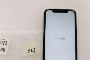 iPhone 11 64 GB - Used 3