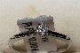 18 Carat White Gold Ring - Diamond 0.11 ct 1