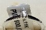 Anillo Oro Blanco 18 Quilates - Diamante 0.11 ct 3