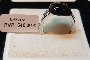 Bague Or Blanc 18 Carats - Diamants 0.13 ct 2