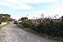 Terrains agricoles à Putignano (BA) - LOT 16 2