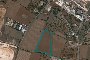 Terrains agricoles à Putignano (BA) - LOT 18- PART 50% 1