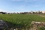 Terrenys agrícoles a Putignano (BA) - LOT 18- QUOTA 50% 2