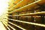 Shelves for Cheese Aging 1