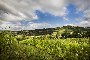 Building and agricultural lands in Montone (PG) 4