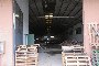 Hangar dhe tokë në Boschi Sant'Anna (VR) - LOTI 5 5