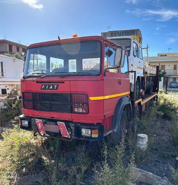 Autogrù Grove TM-990-I und - Erdbewegungsmaschinen - Zwangsversteigerung Nr. 3/2023 - Gericht von Reggio Calabria - Verkauf 3