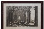 Gravură Porticul Palatului Villa Albani, Castelbarco - Flori pe Hârtie 1