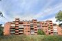 Apartament en subhasta a Milà 3 - Basiglio, amb garatge i celler. Llot 2 1