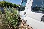 FIAT Ducato Maxi Lkw 5