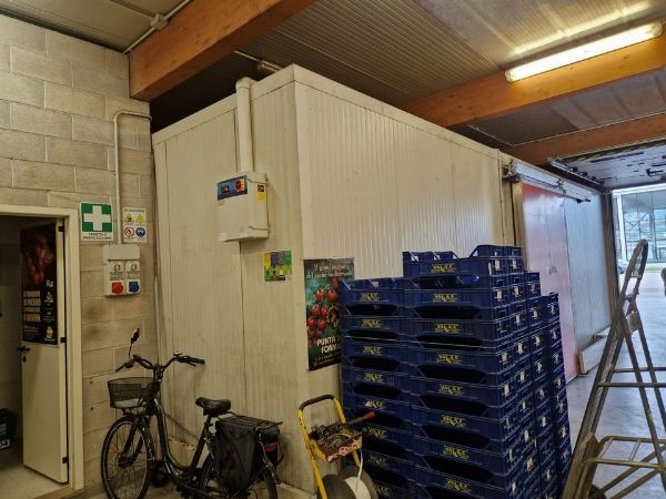 Koelcel Foris - Heftrucks - Gerechtelijke Liquidatie nr. 28/2024 - Rechtbank van Latina - Verkoop 2