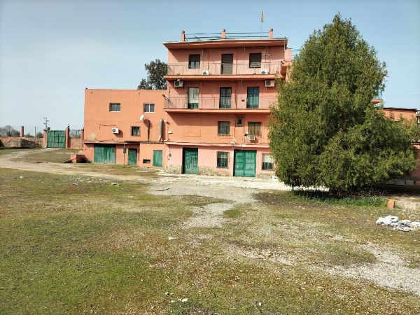 Tenuta rustica con locale commerciale ad Andújar, Jaén