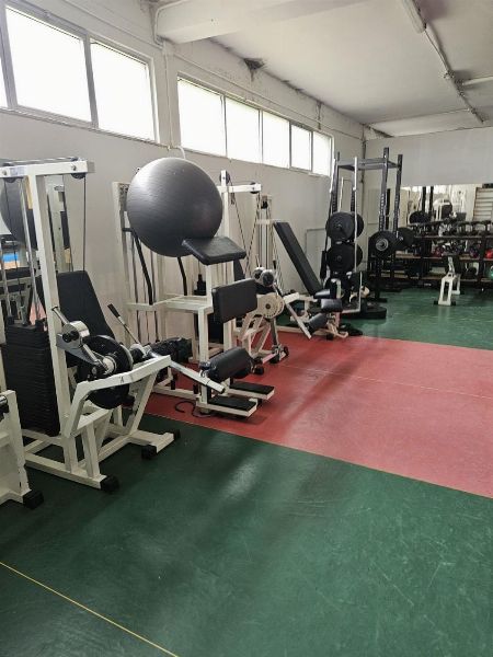 Marchio "Ternana Calcio" - Arredi e attrezzature sportive - Liquidazione Giudiziale n. 13/2026 - Tribunale di Terni