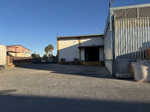 Capannone industriale, complesso di macchinari per la lavorazione del cartone e imballaggio, veicoli, scorte e asset tecnologici