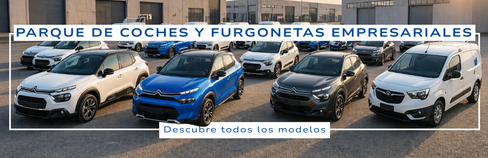 Parque de coches y furgonetas de empresa - Citroën, Fiat y Nissan - Liquidación Judicial 108/2025 - Tribunal de Padua - Venta 2